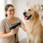 Devenir Toiletteur Canin en Auto-Entreprise : Le Guide Complet 2026